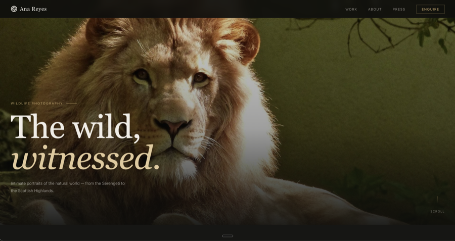 Ana Reyes wildlife photography website